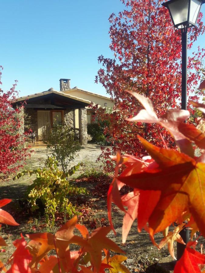 Casa Rural Amarilla Ávila Zewnętrze zdjęcie